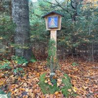 24 BWV FRG Komoot HGibis Steinbachklause Kanzel Clipboard 6