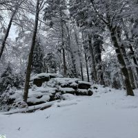 02 IMG 20260218 WA0005 BWV FRG Wanderung Aschermittwoch 2026